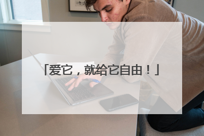 爱它，就给它自由！