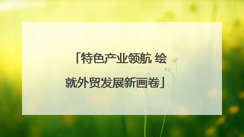 特色产业领航 绘就外贸发展新画卷