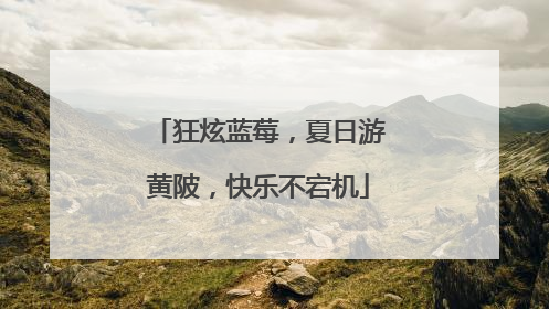 狂炫蓝莓，夏日游黄陂，快乐不宕机