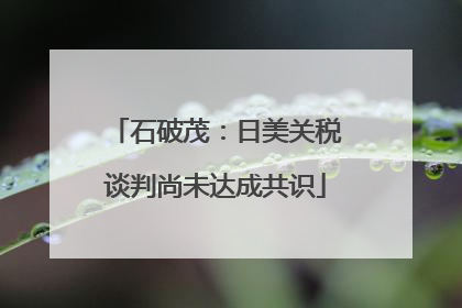 石破茂：日美关税谈判尚未达成共识
