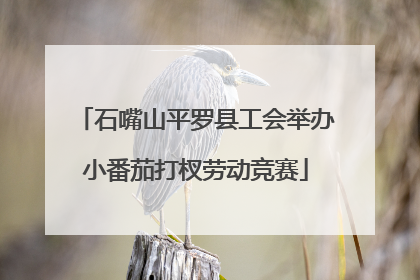 石嘴山平罗县工会举办小番茄打杈劳动竞赛