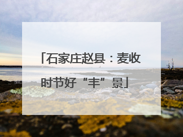 石家庄赵县：麦收时节好“丰”景