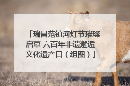 瑞昌范镇河灯节璀璨启幕 六百年非遗邂逅文化遗产日（组图）