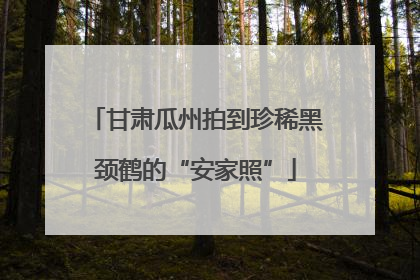 甘肃瓜州拍到珍稀黑颈鹤的“安家照”