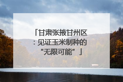 甘肃张掖甘州区：见证玉米制种的“无限可能”