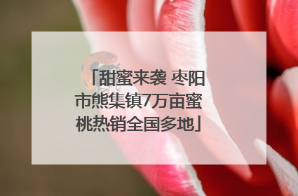 甜蜜来袭 枣阳市熊集镇7万亩蜜桃热销全国多地