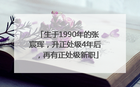 生于1990年的张宸珲，升正处级4年后，再有正处级新职