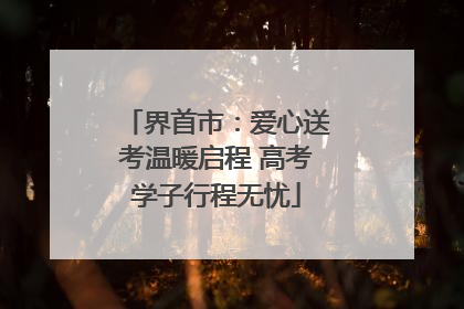 界首市：爱心送考温暖启程 高考学子行程无忧