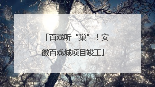 百戏听“巢”！安徽百戏城项目竣工