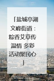盐城亭湖文峰街道：粽香艾草传温情 多彩活动聚民心