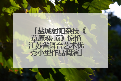 盐城射阳杂技《草原魂·顶》惊艳江苏省舞台艺术优秀小型作品调演
