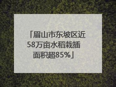 眉山市东坡区近58万亩水稻栽插面积超85%