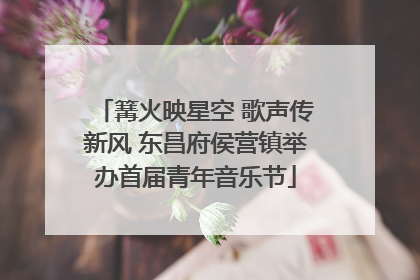 篝火映星空 歌声传新风 东昌府侯营镇举办首届青年音乐节