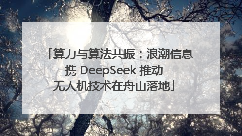 算力与算法共振：浪潮信息携 DeepSeek 推动无人机技术在舟山落地