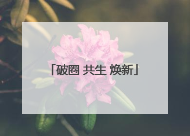 破圈 共生 焕新