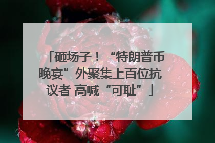 砸场子！“特朗普币晚宴”外聚集上百位抗议者 高喊“可耻”