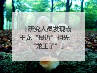 研究人员发现霸王龙“最近”祖先“龙王子”