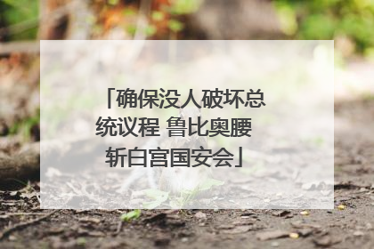 确保没人破坏总统议程 鲁比奥腰斩白宫国安会