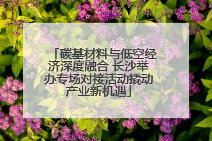 碳基材料与低空经济深度融合 长沙举办专场对接活动撬动产业新机遇