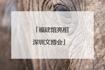福建馆亮相深圳文博会