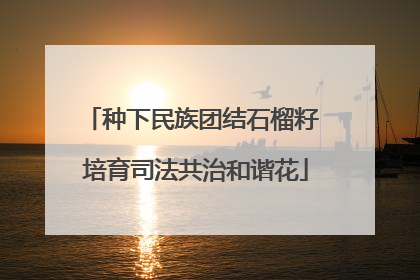 种下民族团结石榴籽 培育司法共治和谐花
