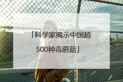 科学家揭示中国超500种毒蘑菇