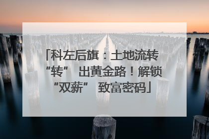 科左后旗：土地流转 “转” 出黄金路！解锁 “双薪” 致富密码