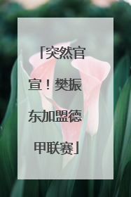 突然官宣！樊振东加盟德甲联赛