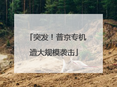突发！普京专机遭大规模袭击