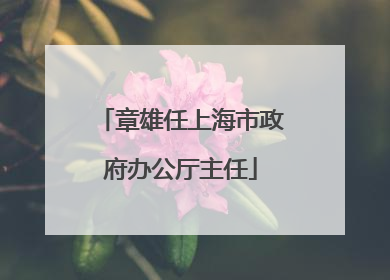 章雄任上海市政府办公厅主任
