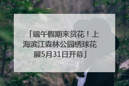 端午假期来赏花！上海滨江森林公园绣球花展5月31日开幕