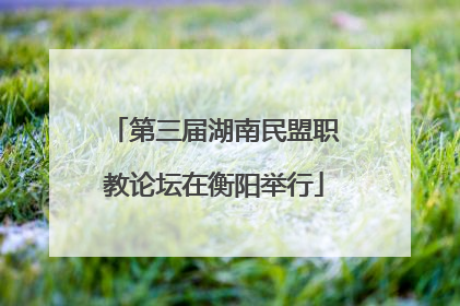 第三届湖南民盟职教论坛在衡阳举行