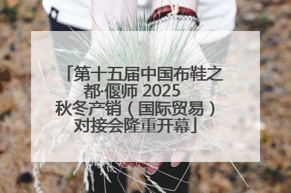 第十五届中国布鞋之都·偃师 2025 秋冬产销（国际贸易）对接会隆重开幕
