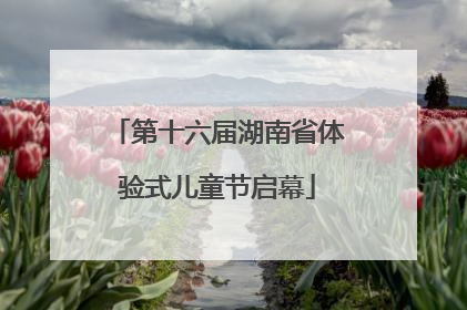第十六届湖南省体验式儿童节启幕