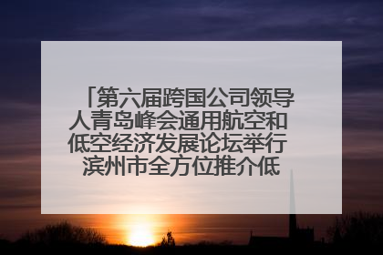 第六届跨国公司领导人青岛峰会通用航空和低空经济发展论坛举行 滨州市全方位推介低空经济发展优势