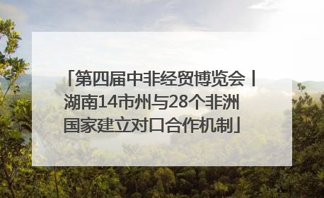 第四届中非经贸博览会丨湖南14市州与28个非洲国家建立对口合作机制