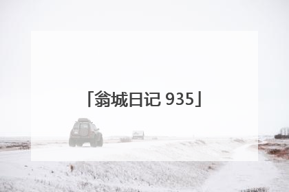 翁城日记 935