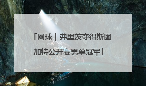 网球｜弗里茨夺得斯图加特公开赛男单冠军