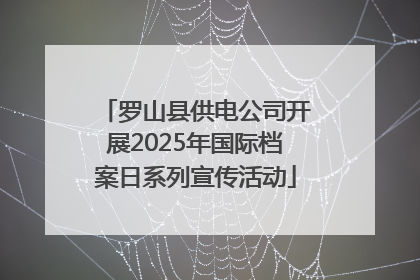 罗山县供电公司开展2025年国际档案日系列宣传活动