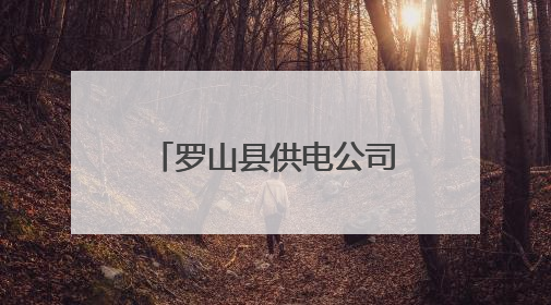 罗山县供电公司：带电消除隐患 保障高考用电
