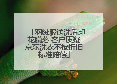 羽绒服送洗后印花脱落 客户质疑京东洗衣不按折旧标准赔偿