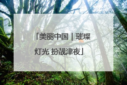 美丽中国｜璀璨灯光 扮靓津夜