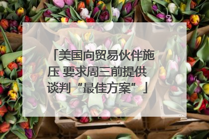 美国向贸易伙伴施压 要求周三前提供谈判“最佳方案”