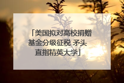 美国拟对高校捐赠基金分级征税 矛头直指精英大学