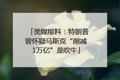 美媒爆料：特朗普曾怀疑马斯克“削减1万亿”是吹牛