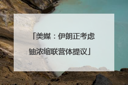 美媒：伊朗正考虑铀浓缩联营体提议