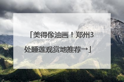美得像油画！郑州3处睡莲观赏地推荐→