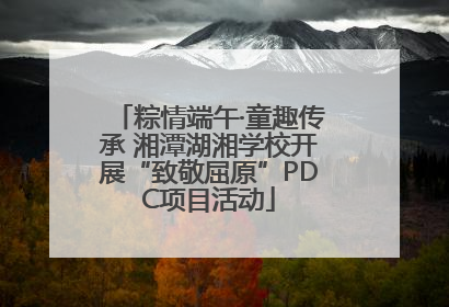 粽情端午·童趣传承 湘潭湖湘学校开展“致敬屈原”PDC项目活动