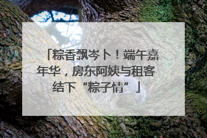 粽香飘岑卜！端午嘉年华，房东阿姨与租客结下“粽子情”