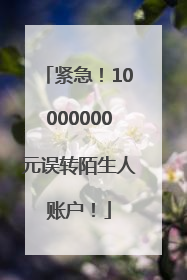 紧急！10000000元误转陌生人账户！